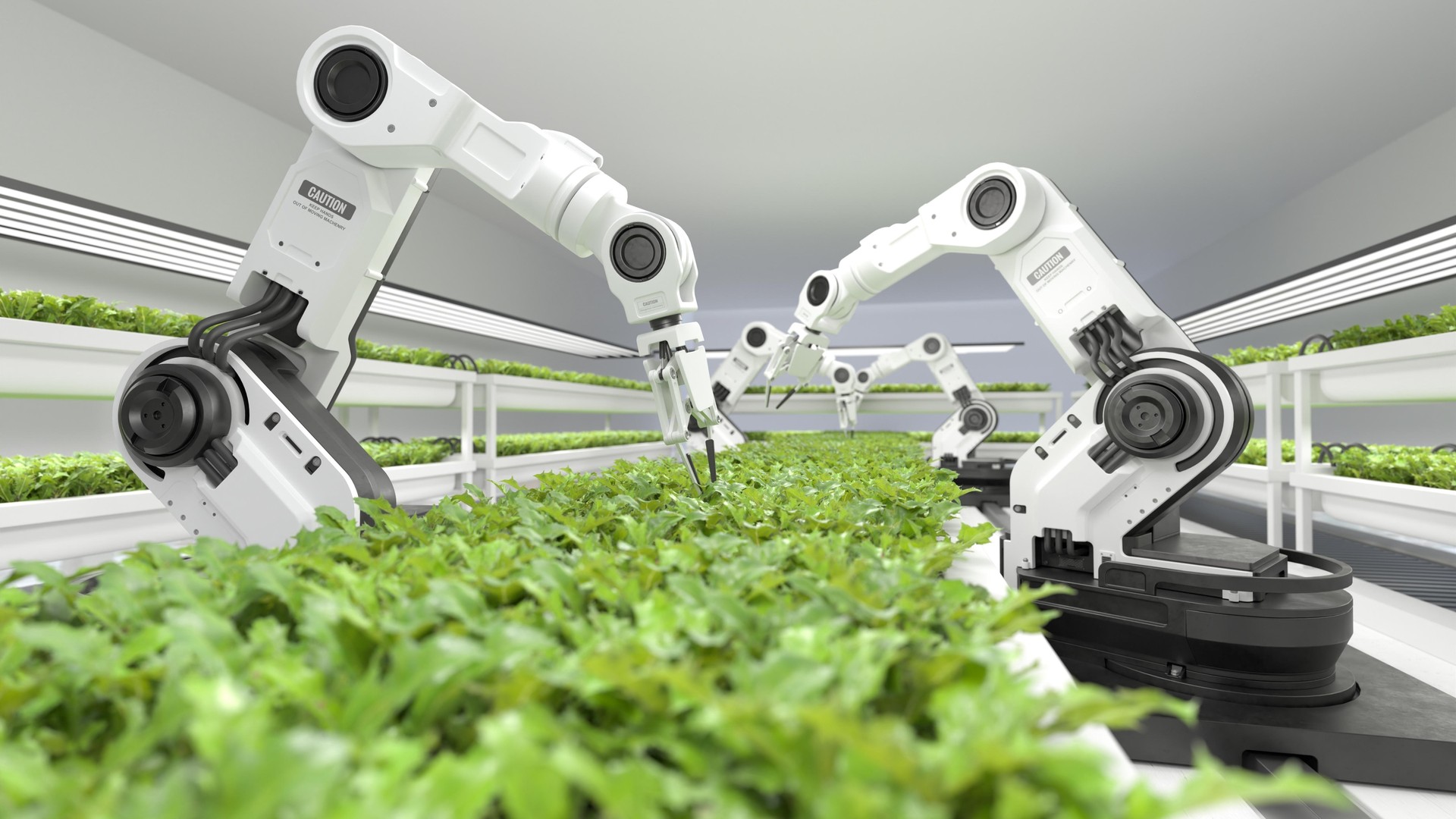 Next Tech Twente - Robotica farm